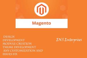 Portfolio for Design and Development of Magneto Web